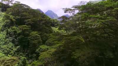 Let's crawl over to Madagascar, - Absurd Planet