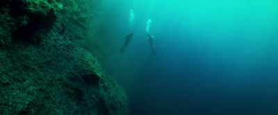 Let's descend to 50 feet. - The Dive