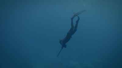 Let's do something fun. - Bloodline