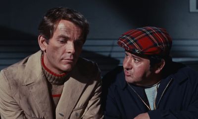 It's a matter of talking their language - The Love Bug