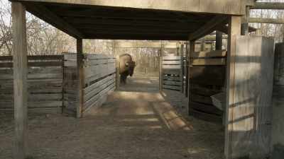 Let's err on the side
of caution, - Secrets of the Zoo