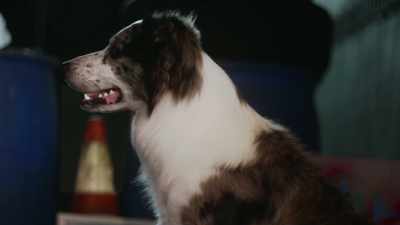 Let's get that brain of yours
to work. - Junkyard Dogs