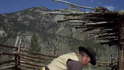 Let's get up. - True Grit