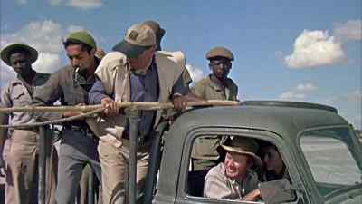 Let's give it a try, Pockets. He's tired. - Hatari!