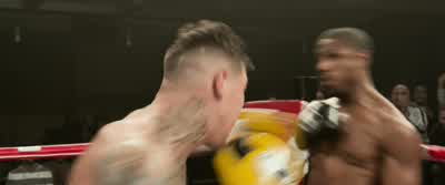 Let's go, boy! - Creed