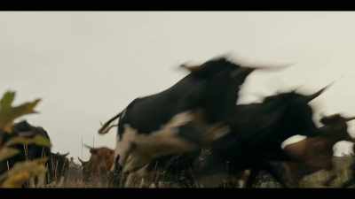 Let's go, boys!
Come on! Let's go! - Billy the Kid
