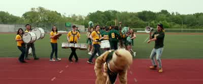 Let's go, Cougars! - Nerve