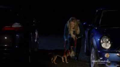 Let's go find them.
Let's go find them... - Walking the Dog