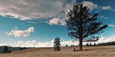 Let's go home. - Yellowstone