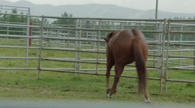 Let's go. It'll be okay. - Heartland