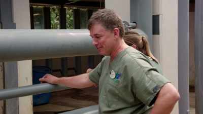 -Let's go. Let's go.
-(CHUCKLES) I need my afternoon nap. - Magic of Disney's Animal Kingdom