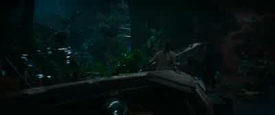Let's go, let's go, let's go. - Anaconda
