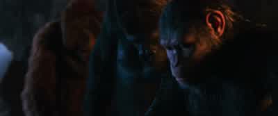 Let's go look for Caesar's little son. - War for the Planet of the Apes