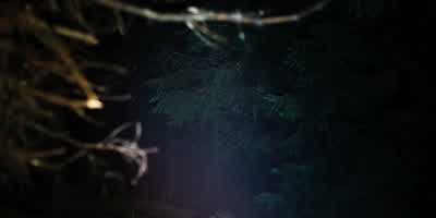 Let's go on "three." Okay? - The Ritual