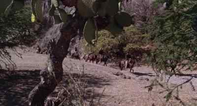 Let's go. - Cattle Annie and Little Britches
