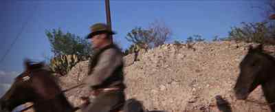 Let's go! - The Wild Bunch