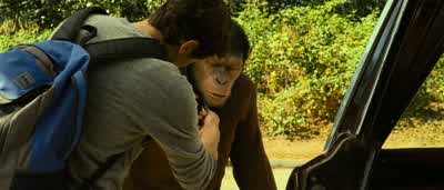 Let's go. - Rise of the Planet of the Apes