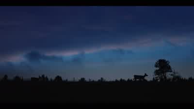 ♪ ♪ - Let's go. - Yellowstone