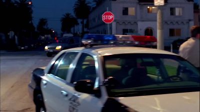            Let's go. - CSI: Crime Scene Investigation