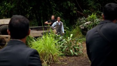 Let's go say hello. - Hawaii Five-0