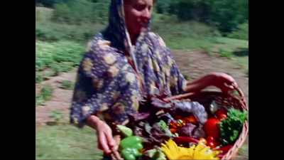 "Let's go there. It's a farm." - Krishnas: Gurus. Karma. Murder.