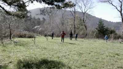 Let's investigate that first, - Murder Mountain