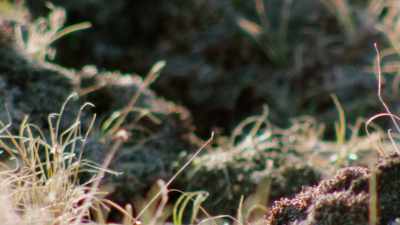 Let's just say everything it
touches is rendered useless. - When Nature Calls with Helen Mirren