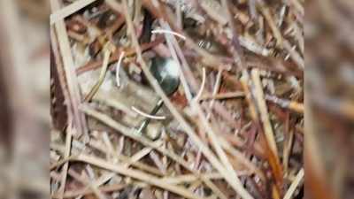 ‐Let's just take a look.
So we got thumbtacks - Neighborhood Wars