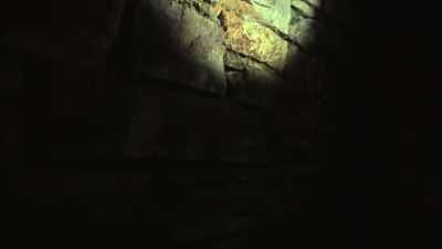 Let's look from the… - 28 Days Haunted