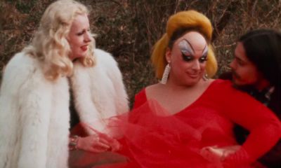 Let's move to Boise - Pink Flamingos