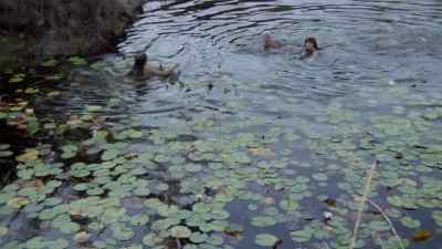 - Let's rest.
- I'm drowning. - Women in Cellblock 9