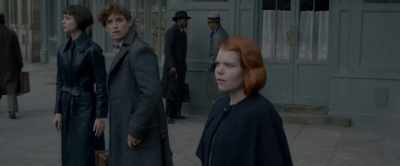 Let's say, - Fantastic Beasts: The Crimes of Grindelwald