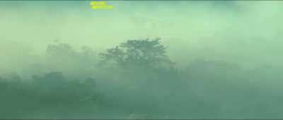 Let's search the forest nearby - The Monkey King: The Legend Begins