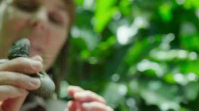 Let's see. (HUSHING)
(MURMURING) - Modern Dinosaurs