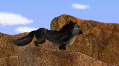 Let's see. You four,
entertain our guests - Alpha & Omega: Journey to Bear Kingdom