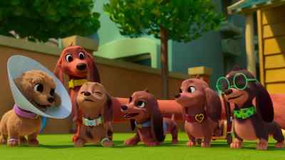 Let's set all this stuff up so
everyone can see what we've brought. - Pretzel and the Puppies