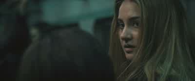 Let's sit you down. - Divergent