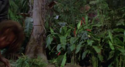 Let's take care of him - George of the Jungle