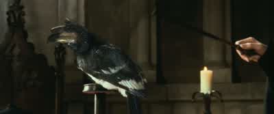 Let's think. - Harry Potter and the Chamber of Secrets