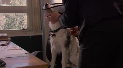 Let's try and make you a bit more
comfortable, shall we? - Midsomer Murders