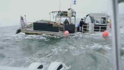 Let's wait till
they're ready, huh? - Bering Sea Gold