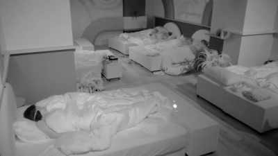 LET'S WAKE THEM UP. - Love Island