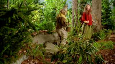 Let's wander
into the woods - At Home with Amy Sedaris
