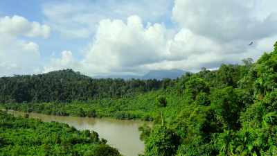 Leuser's abundance
is partly thanks to its soil, - Our Great National Parks