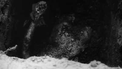 - Levels of radioactivity in Mary's bones - Radium Girls