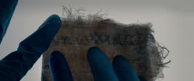 Leviticus. - The Autopsy of Jane Doe