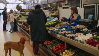 [Levy] The vast Portuguese trading network - The Reluctant Traveler with Eugene Levy