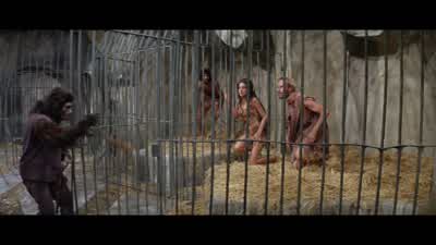 If only you knew what they're going to do. - Planet of the Apes