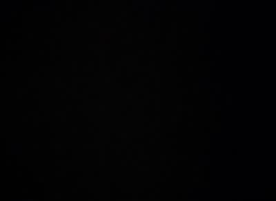 If that was Josh, he would have said where he was. - The Blair Witch Project