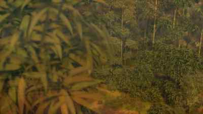 Li Gao is infamously secretive. - Kung Fu Panda: The Dragon Knight